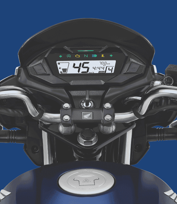 Fully Digital Meter