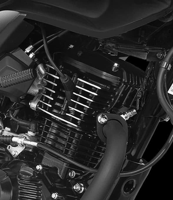160 cc Engine (OBD2B Compliant)